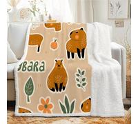 Plaid Sherpa Feuilles capybara Couverture Polaire 130x170 cm - Petit Plaid Epais et Chaud avec Cartoon, Jeté de Canapé Lit 1 Personne, Bureau - Couverture Doux et Moelleuse pour Hiver - Arc-en-ciel