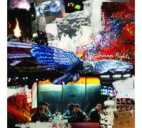 Plain White T's American Nights (Vinyl)