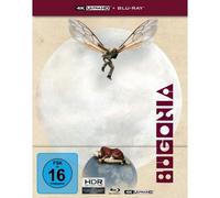 Bugonia (Limitiertes Steelbook, 4K-UHD + Blu-ray)
