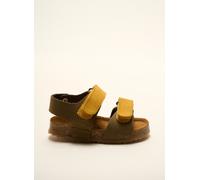 plakton chaussures garçon de couleur jaune 19