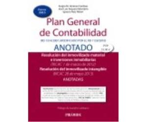 Plan General De Contabilidad Anotado - Ignacio Ruiz Albert, Jose Luis Arquero Montaño, Sergio M Jiménez Cardoso Ignacio Ruiz Albert, Jose Luis Arquero Montaño, Sergio M Jiménez Cardoso (Auteur)