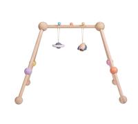 Plan Toys Plan Toys Arche D'activite