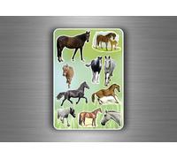 Planche 10 Gommettes Autocollants Stickers Enfant Carte Scrapbooking Cheveaux
