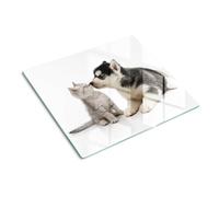 Planche à Découper 60x52 cm Bords Polis Pieds Antidérapants Décoration Contact Alimentaire Résistant à la Chaleur Symétrique Modernité Avec Impression - Chien et chat