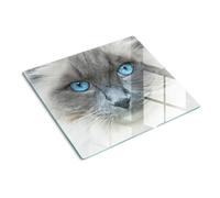 Planche à Découper 60x52 cm Décoration Avec Impression Contact Alimentaire Bords Polis Résistant à la Chaleur Pieds Antidérapants Modernité Symétrique - Chat aux yeux bleus