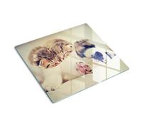 Planche à Découper 60x52 cm Pieds Antidérapants Symétrique Avec Impression Bords Polis Modernité Résistant à la Chaleur Contact Alimentaire Décoration - Chats et chiens