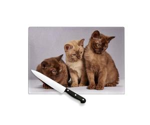 Planche à Découper en Verre Trempé - Bebe Chats Siamois Persan Poils Longs Chat Trio Mignon - Protection Plan de Travail et Dessous de Plat Résistant Chaleur 2 Tailles Imprimé en France