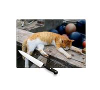 Planche à Découper en Verre Trempé - Chat Qui Paresse Sur Le Port - Protection Plan de Travail et Dessous de Plat Résistant Chaleur 2 Tailles Imprimé en France
