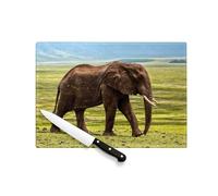 Planche à Découper en Verre Trempé - Elephant d'Afrique Prairie Verte Photo Nature Vie Sauvage - Protection Plan de Travail et Dessous de Plat Résistant Chaleur 2 Tailles Imprimé en France
