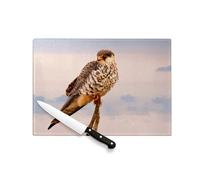 Planche à Découper en Verre Trempé - Faucon Posé sur une Branche Nature Sauvage Rapace - Protection Plan de Travail et Dessous de Plat Résistant Chaleur 2 Tailles Imprimé en France