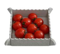 Planche à découper pliable magnétique en silicone | Planche à découper pliable réutilisable pour cuisine, camping, randonnée, voyage, pique-nique, grillades