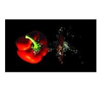 Planche à découper - PRADEL EXCELLENCE - 52 x 32 cm - Verre - Anti odeur - Résiste à la chaleur