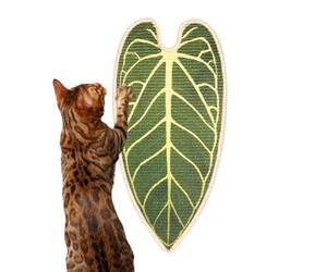 Planche À Gratter Chat Planche à Griffes en Forme de Feuille pour Chaton | Griffoir Pour Chat Qui Épargne Les Meubles Pour Intérieur Appartement Maison Chambre Salon Bureau Espace De Vie Coin Repo