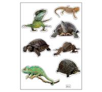 Planche A4 De Stickers Reptiles Autocollant Adhésif Scrapbooking - B14