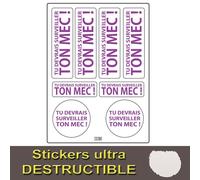 Planche A4 De Stickers Ultra-Destructible Surveille Ton Mec Adhésif - U08