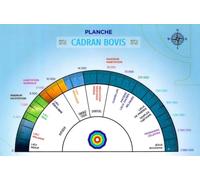 Planche Cadran Bovis et Energie Vitale - 21,5 x 14 cm