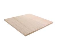 Planche de Bois Brut 30,5x30,5cm pour Bricolage Créatif | Panneau Rectangulaire de 12 Pouces, Épaisseur 1,27cm, Surface Lisse Polie, pour Peinture et Cloisons D'étagère
