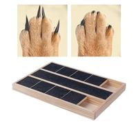 Planche de Grattage pour Chiens Protection des Meubles et Enrichissement