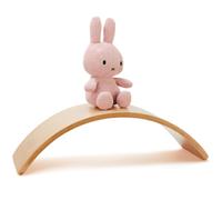 Planche d'équilibre avec ses 10 cartes de Yoga