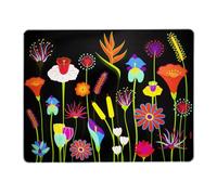 Planche en verre - Commy