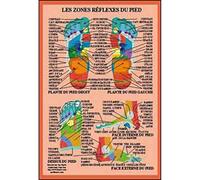 Planche Zones réflexes du pied - A4