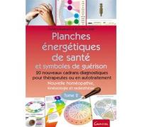 Planches énergétiques de santé et symboles de guérison Tome 2 - 20 nouveaux cadrans diagnostiques pour thérapeutes Christina Baumann (Auteur), Roswitha Stark (Auteur)