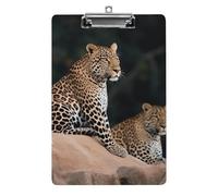 Planchettes à pince en acrylique pour bureau extérieur, 21,6 x 31,5 cm, format A4, pour travailleur social, infirmière, fournitures de bureau, léopard africain sur rocher avec clip bas