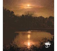 PLANES MISTAKEN FOR STARS - DO YOU STILL LOVE ME? CD NEUF