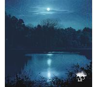 Planes Mistaken For Stars Do You Still Love Me? (Vinyl)