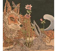 Planes Mistaken for Stars - Prey [Import]