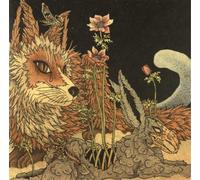 Planes Mistaken For Stars Prey (Vinyl) 12" Album