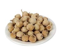 PLANET 007 Paneer Naturel DODI/Paneer Ke Phool/Withania Coagulan/Paneer Doda/Indian Rennet 400 g