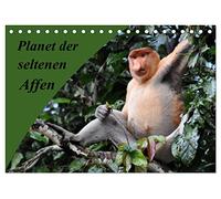 Planet der seltenen Affen (Tischkalender 2026 DIN A5 quer), CALVENDO Monatskalender: Bezaubernde Momentaufnahmen aus den Wäldern Indonesiens, Madagaskars und Malaysias