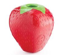 Planet Dog Jouet pour Chien en Orbee-Tuff - Distributeur de friandises - à mâcher - Fraise