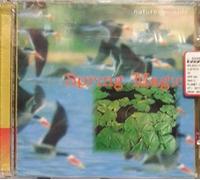 Planet Garden Nature Inside - Spring Magic