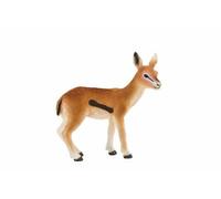 Planète Animale La Gazelle De Mojo Thomson