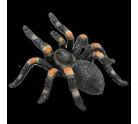 Planète Animale Mojo, 7x7x4