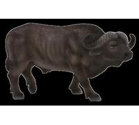 Planète Animale Mojo Buffle Africain