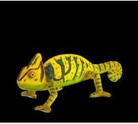 Planète Animale Mojo Caméléon