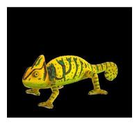 Planète Animale Mojo Caméléon