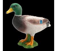Planète Animale Mojo Canard Colvert