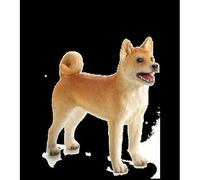 Planète Animale Mojo Chien Shiba Inu