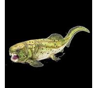 Planète Animale Mojo Dunkleosteus