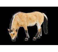 Planète Animale Mojo Fjord Mare