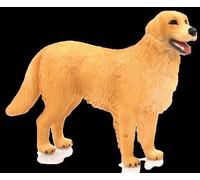 Planète Animale Mojo Golden Retriever