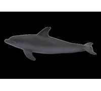 Planète Animale Mojo Grand Dauphin Commun