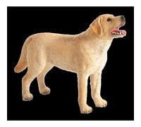 Planète Animale Mojo Labrador