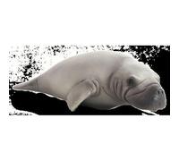 Planète Animale Mojo Lamantin