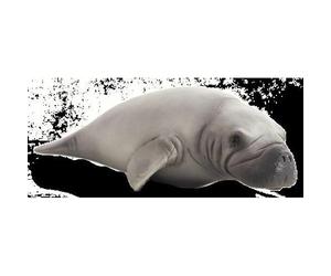 Planète Animale Mojo Lamantin