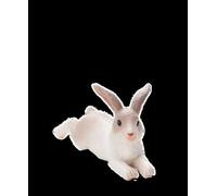 Planète Animale Mojo Lapin En Cours D'exécution